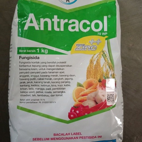 Antracol 70WP 1Kg