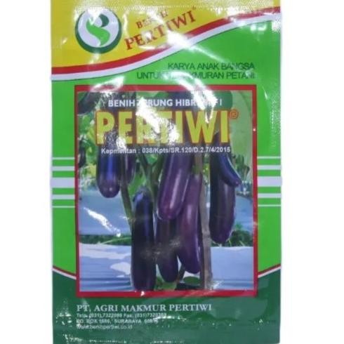 Pertiwi Terong 10 Gr - Benih Terong Ungu Pertiwi 10Gr - Pertiwi Bibit