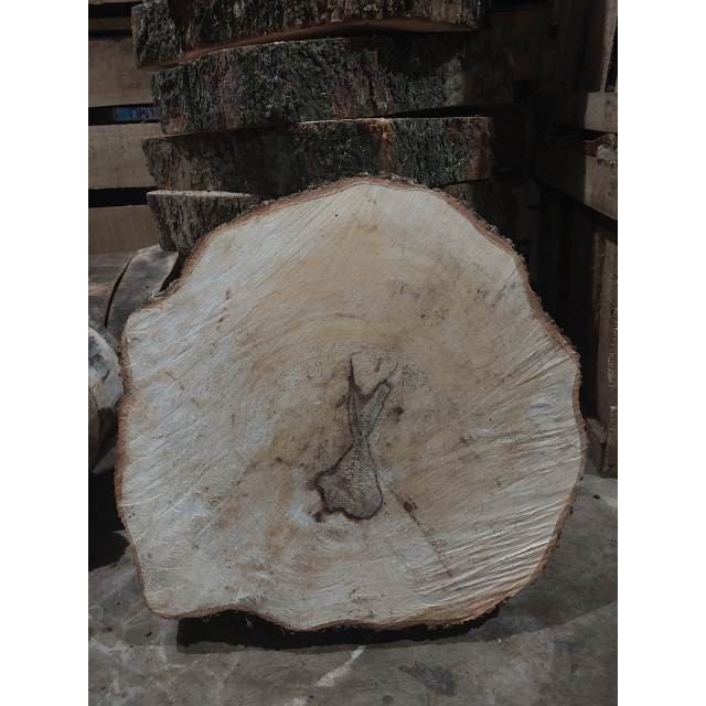 Talenan Telenan Kayu Besar Bulat 50cm - Talenan Daging