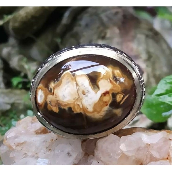 Natural Sulaiman Karang Nunggal Motif Unta Unik Langka Top Kristal No Minus