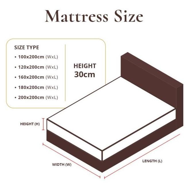 Kasur Springbed Lady Americana Viance Fullset St Louis