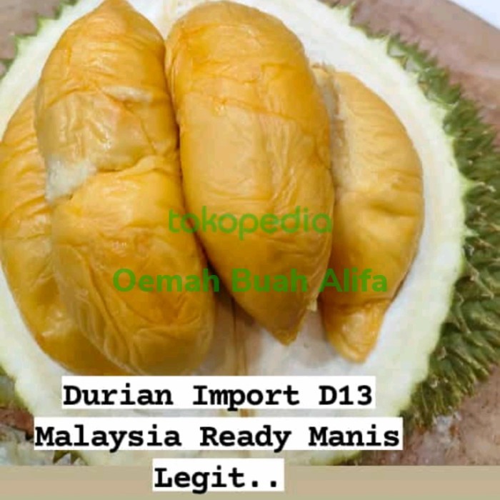 

DURIAN IMPORT MALAYSIA D13