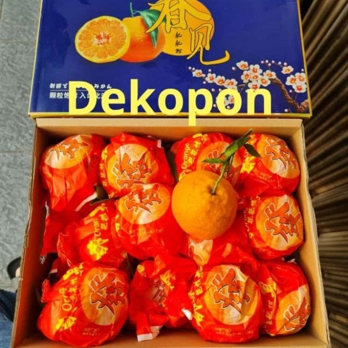 

jeruk dekopon fresh manis per dus