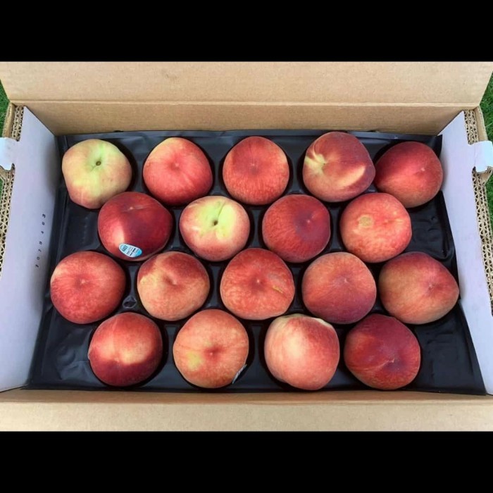 

Buah Peach Import 1 Box