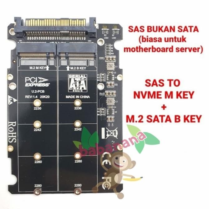 Sas to nvme m key + m.2 sata b key adapter converter ssd