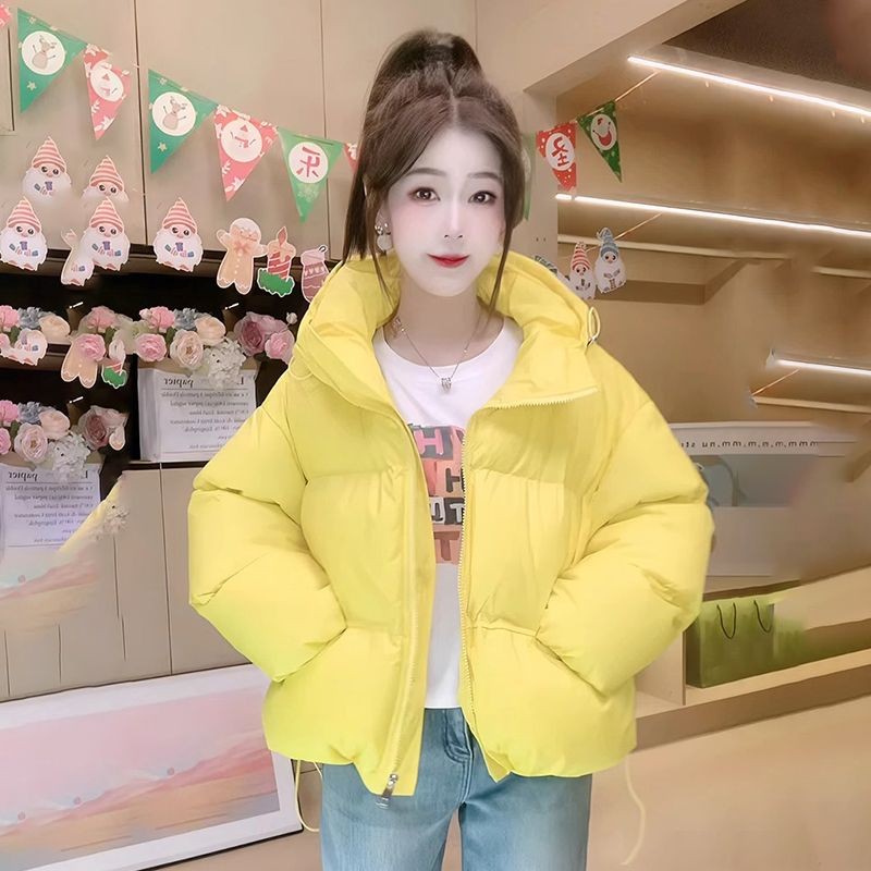 

New Stylish Casual Design Cotton Puffer Jacket