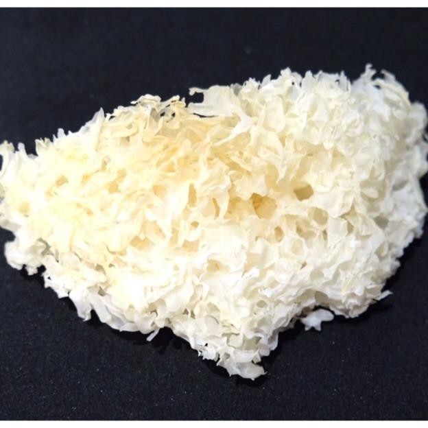 

JAMUR SALJU KERING - 20gram Bisa COD