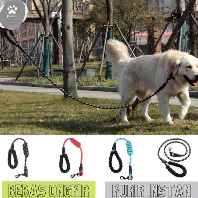 Sale Tali Anjing Medium - Besar| Tali Tuntun Anjing | Tali Tuntun Nylon