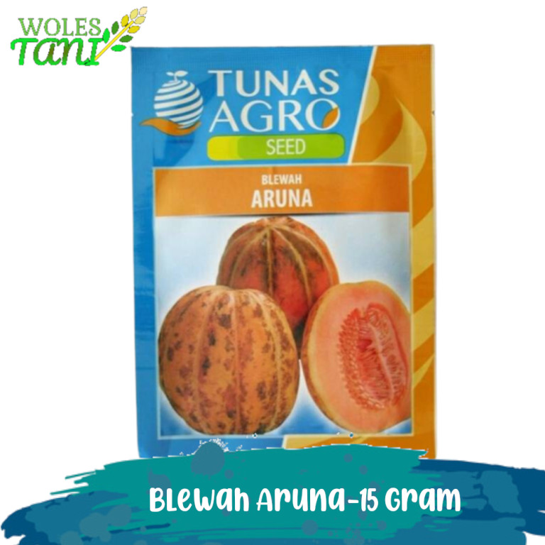 Benih Blewah Aruna 15 Gram Blewah Tunas Agro Blewah Bisma