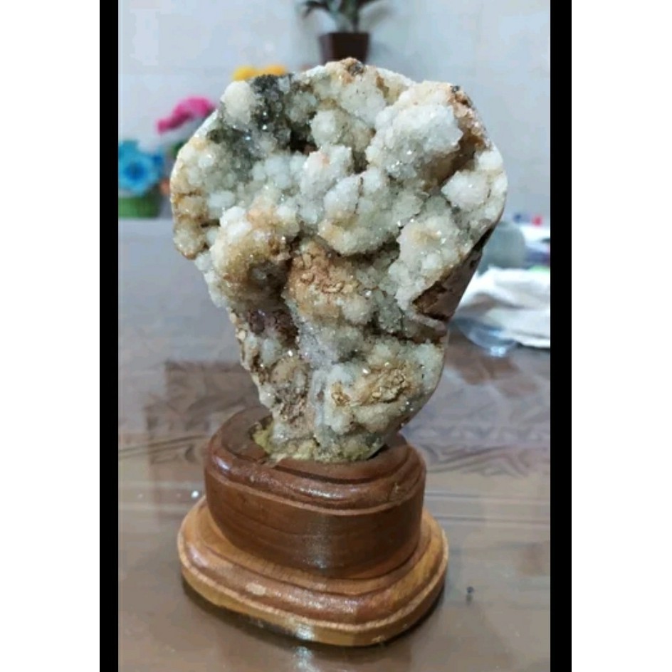 Suiseki Druzzy Wing Star Stone Kolektor Item Murni Full Energi Alami