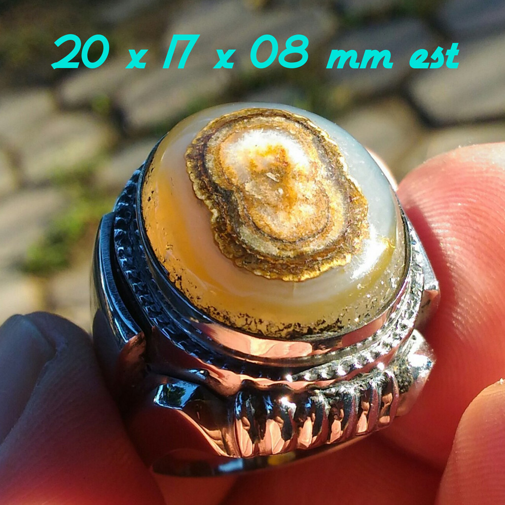 Natural Akik Sulaiman Karang Nunggal Top Kristal Motif Puser Bhumi Wingit Berkarakter Kolektor Item 