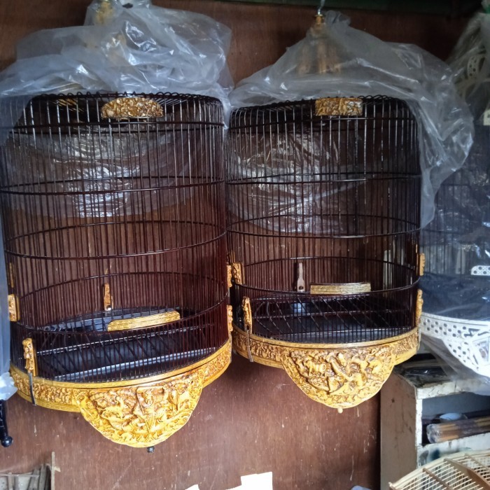 TERBARU kandang kacer,anis,wambi ukir faiber