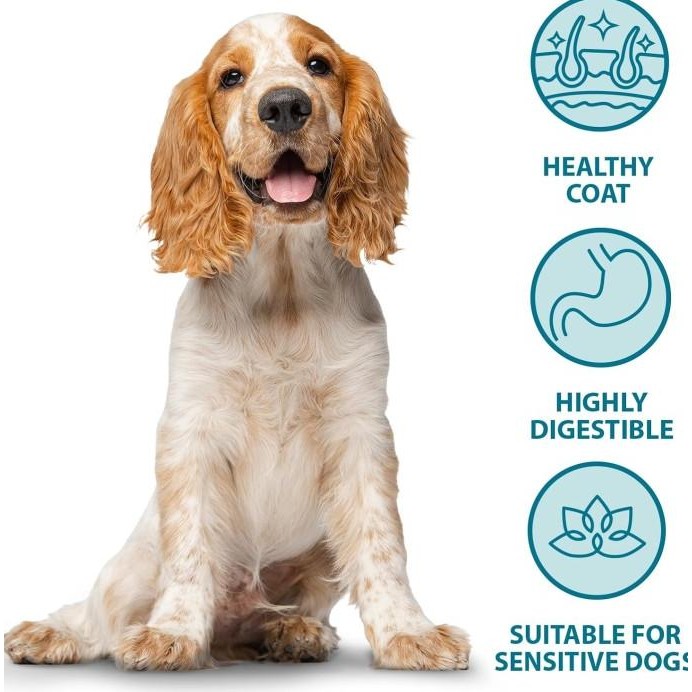 Sale Burns Sensitive Grain Free Dog Food Holistic Turkey & Potato 2Kg Adult & Senior - Makanan Anjin