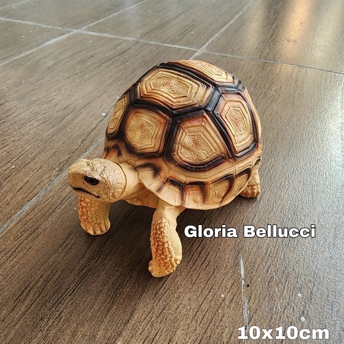 TERMURAHBARUTERLENGKAPPP PATUNG KURA KURA SULCATA