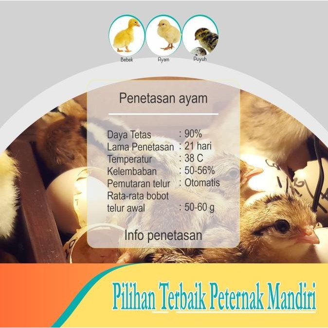 Mesin Tetas Telur Full Otomatis FAM D40 AT | Alat Penetas Ayam Bebek