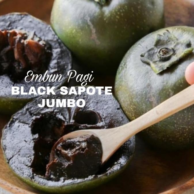 

Jual Buah Black Sapote Jumbo Rasa Puding Coklat