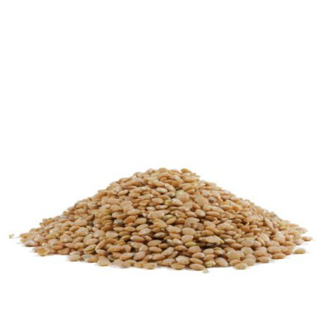 

BOB'S RED MILL BROWN LENTILS BEANS 765 GR