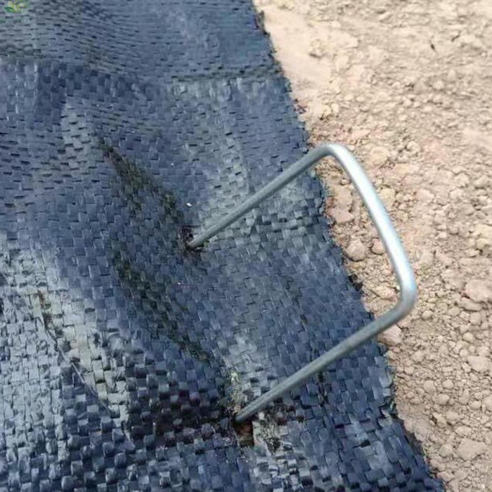 

50pcs Staples Bentuk Jangkar Bahan Stainless Steel Kuat Kualitas