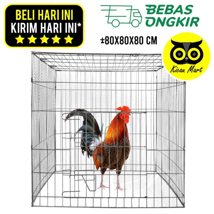 Kurungan ayam galvanis kotak sangkar ayam jago laga aduan petarung
