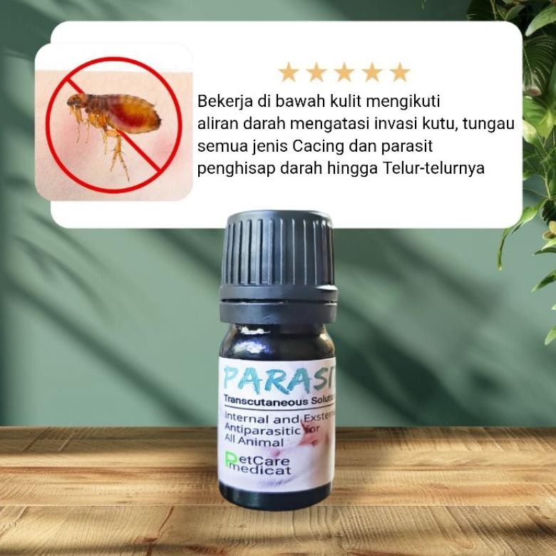 SALE Obat kutu kucing ampuh petcare parasite obat cacing ampuh obat kutu kucing ampuh obat kutu ampu