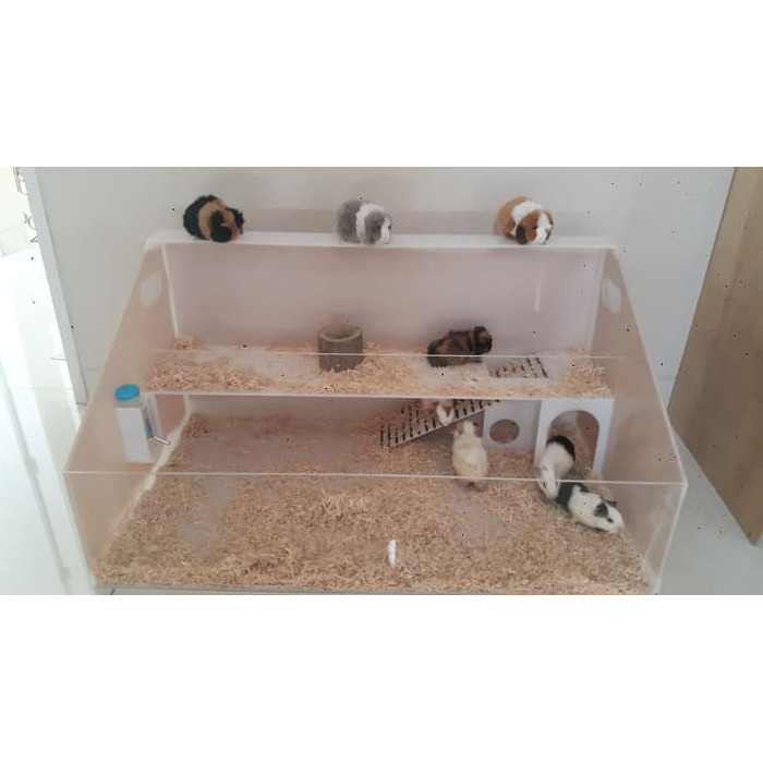 TERBARU kandang Guinea Pig/Pets kecil HOT SALE