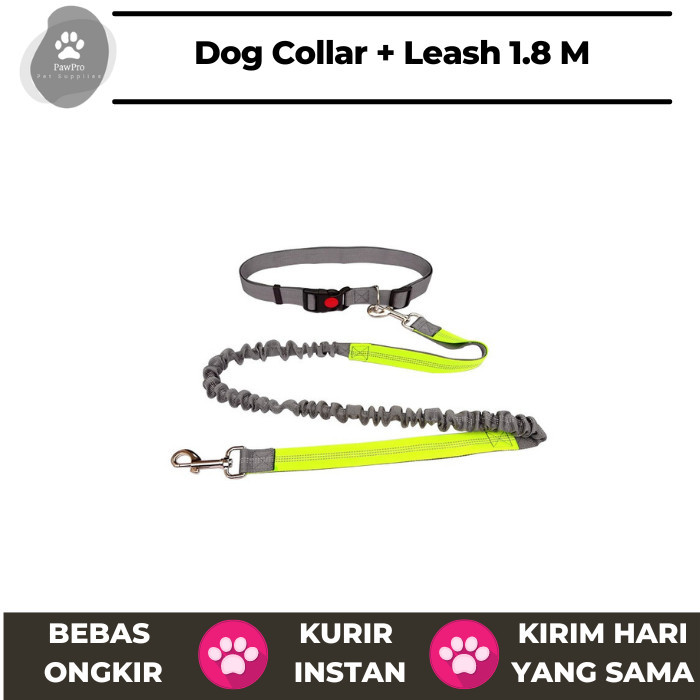 TERLARIS Tali dan Kalung Anjing Dog Collar and Leash Tali Anjing Polyester