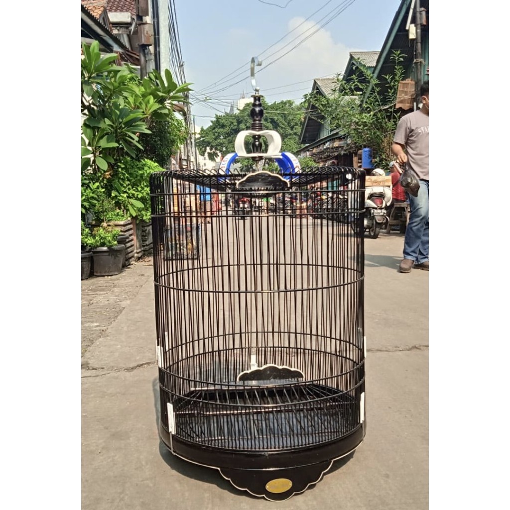 TERBARU SANGKAR KANDANG MURAI RAFI JAYA LIS AKRILIK