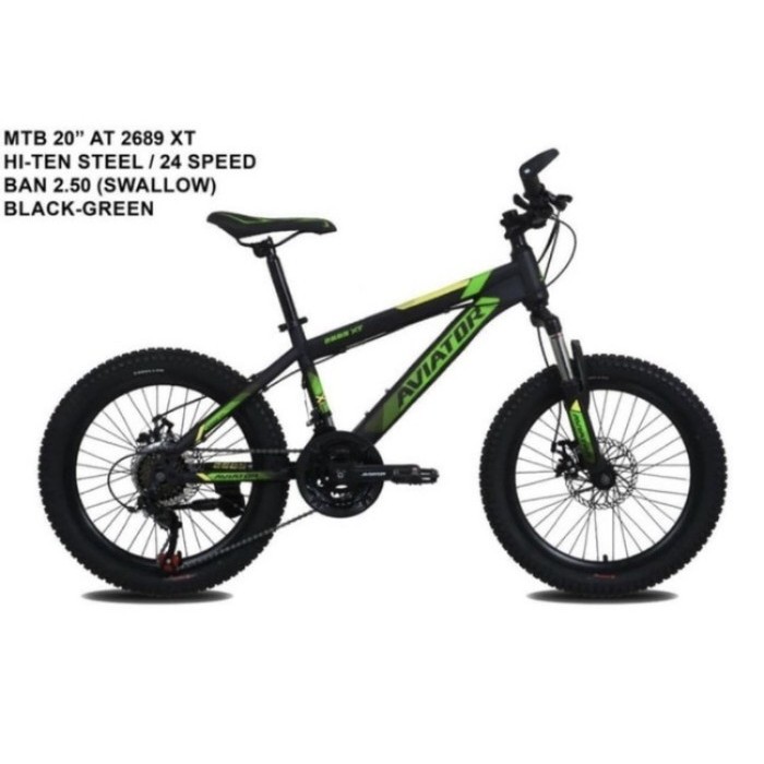 Sepeda anak MTB 20' Aviator 2689 XT