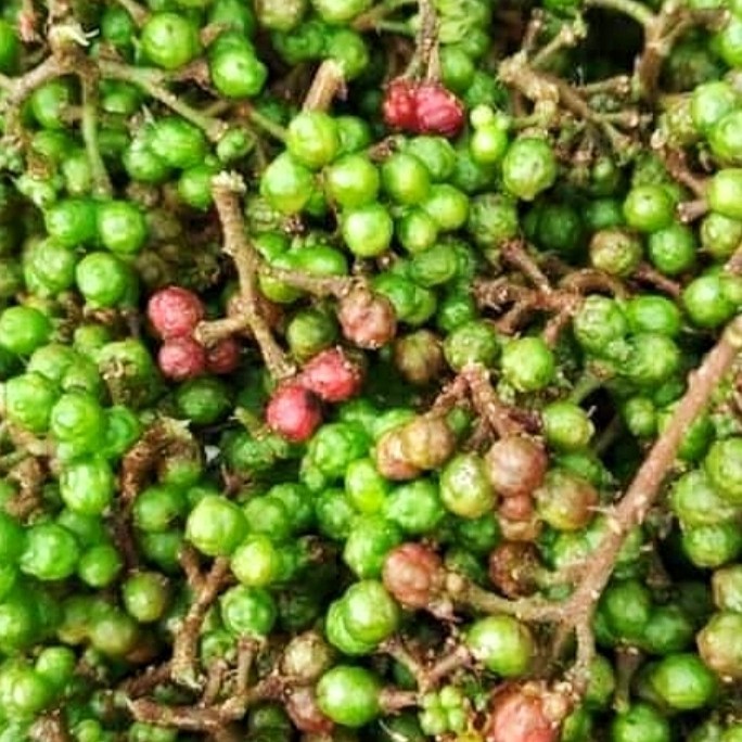 

ANDALIMAN SEGAR SUMATERA UTARA BERAT 1 KG, PENGIRIMAN DARI MEDAN.