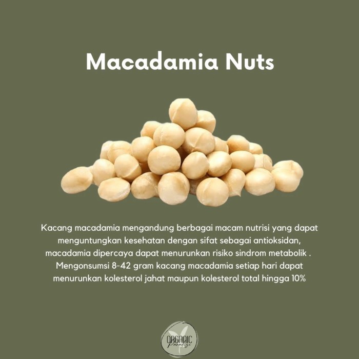 

MACADAMIA NUT 250 GR PREMIUM / KACANG MACADAMIA 250 GR PREMIUM