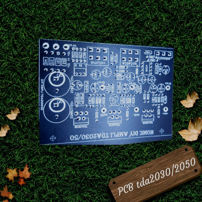 TERJAMIN PCB amplifier 2.1tda2030/2050