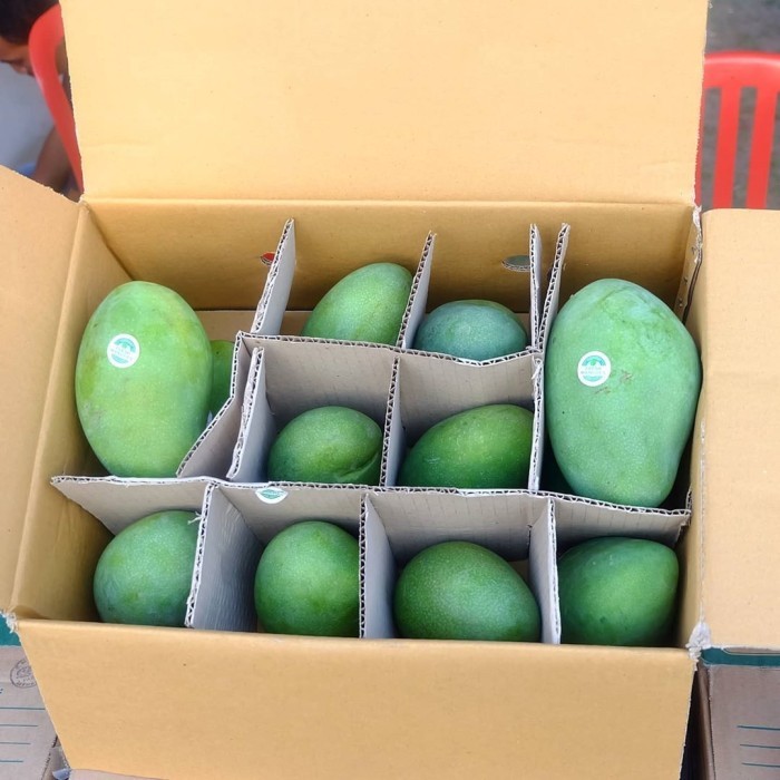 

MANGGA ALPOKAT SUPER
