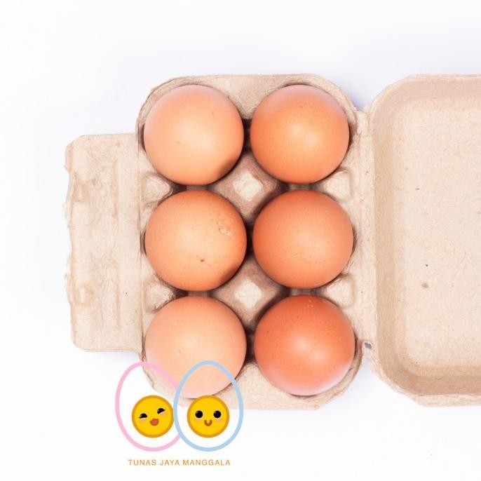 Paper egg / tray egg kertas 6 lubang sudah ada pengunci 1000pcs