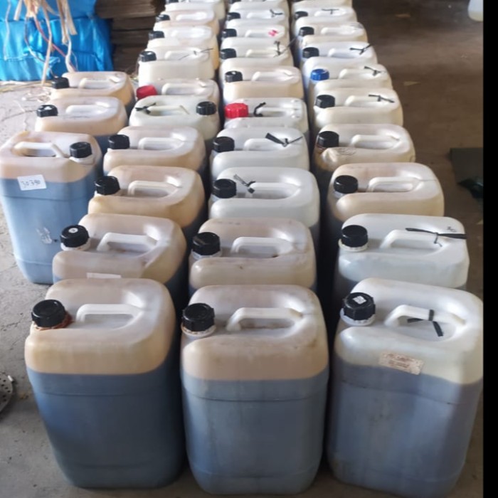 

madu hutan liar sumbawa asli