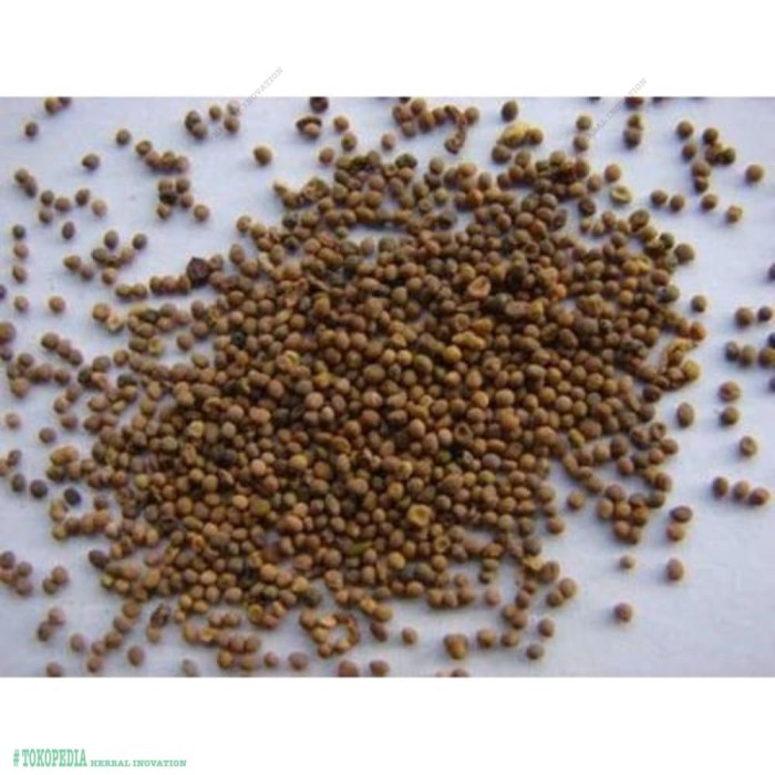 

100 G GR GRAM TU SI ZI CUSCUTA SEED SEEDS DODDER SEED SEEDS