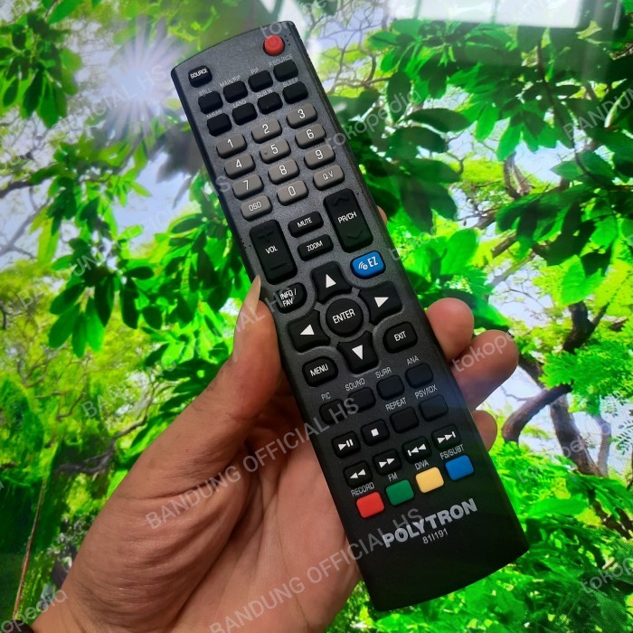 Remot Polytron Android Original 81I355M01