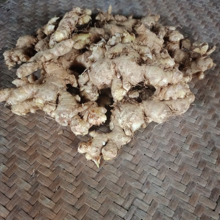 

TERBATAS jahe emprit segar 1kg
