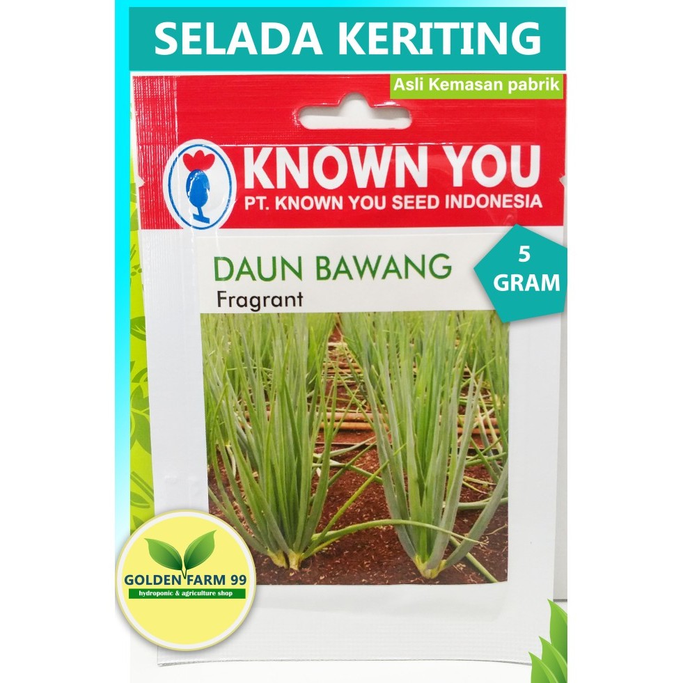 

TERPERCAYA Benih / bibit daun bawang Fragrant