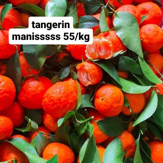 

SALE! JERUK SHANTANG TANGERINE 1KG