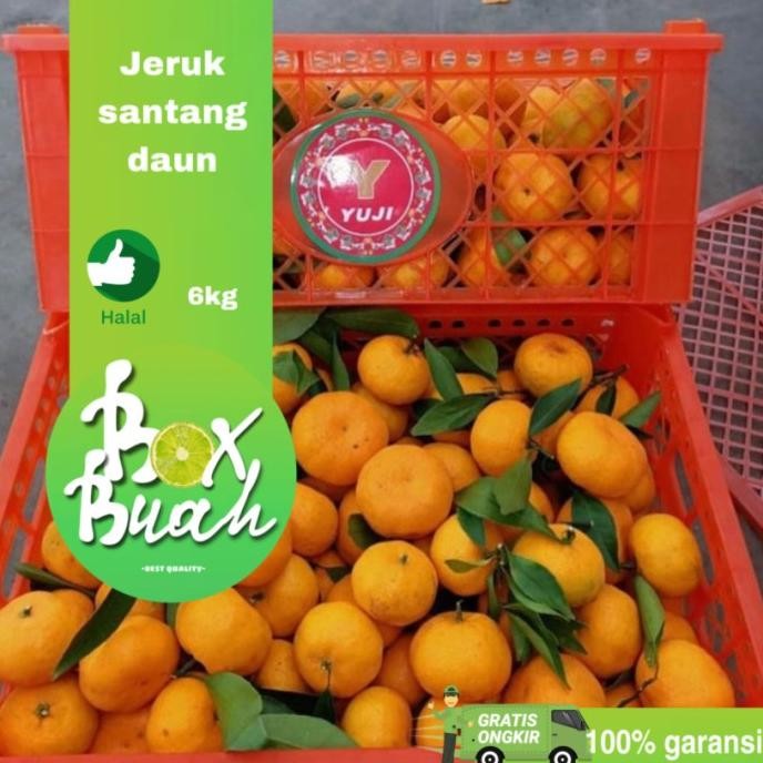 

SALE! JERUK SANTANG DAUN 1 KERANJANG