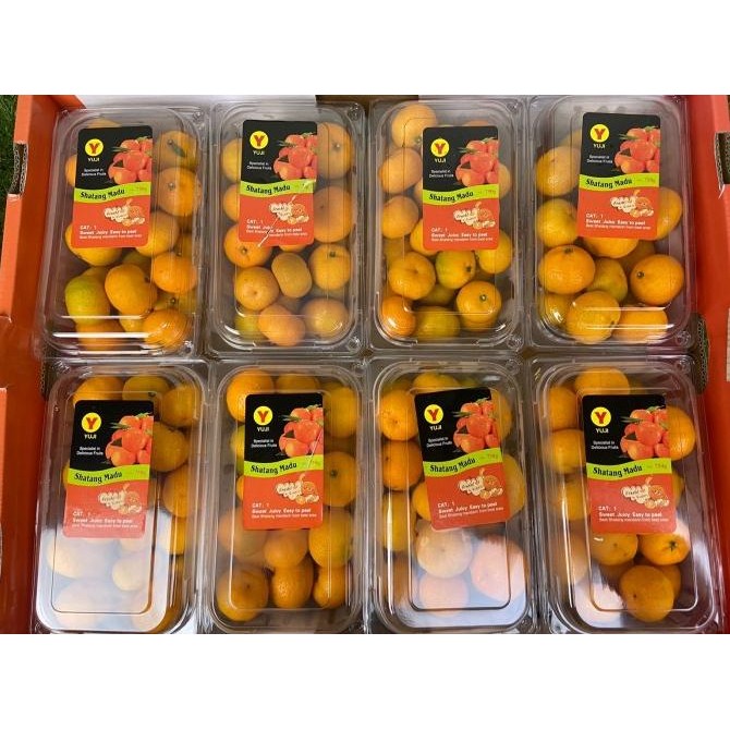 

SALE! JERUK SHANTANG MADU YUJI 8 PACK X 750 GRM / BOX