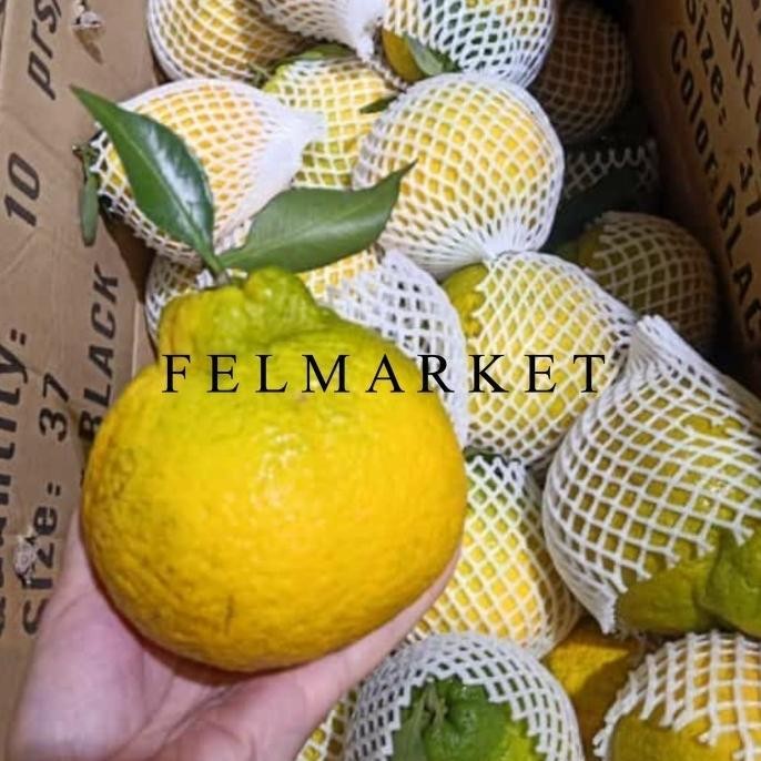 

SALE! JERUK DEKOPON LOKAL SUPER / JERUK CHUN JIAN LOKAL 1 KG