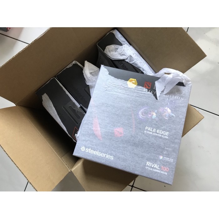 Steelseries Rival 100 Dota 2 Ingame Item Pale Edge