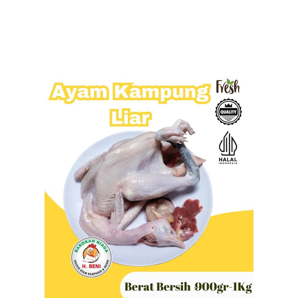 

AYAM KAMPUNG LIAR FREE REQUEST CUTTING BEESIH 900-1KG