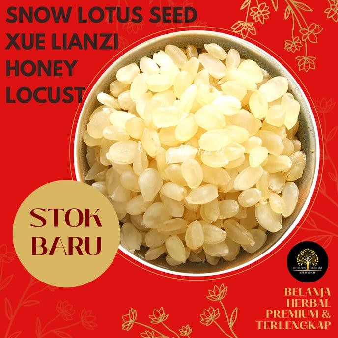 

THEO PREUM SNOW LOTUS SEED XUE LIAN ZHI LOTUS SALJU FRESH