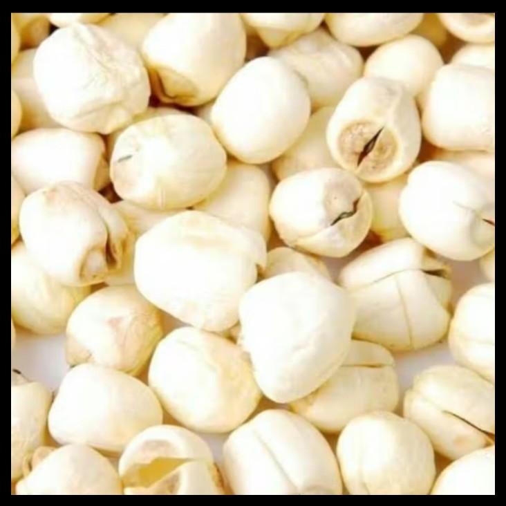 

terbaru !!! 500gram biji teratai lian zi lien zi lotus seed lianzhi lien zhi lianzi ready