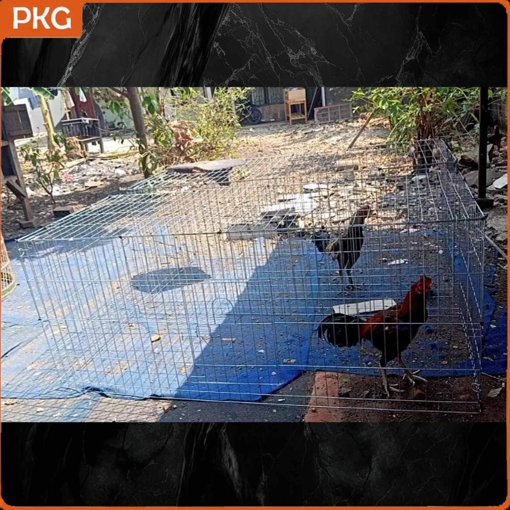 BYP-27 Kandang Ayam Umbaran Besi Galvanis Jumbo 200x100x100, Kurungan Ayam Jago Bangkok Bongkar Pasa