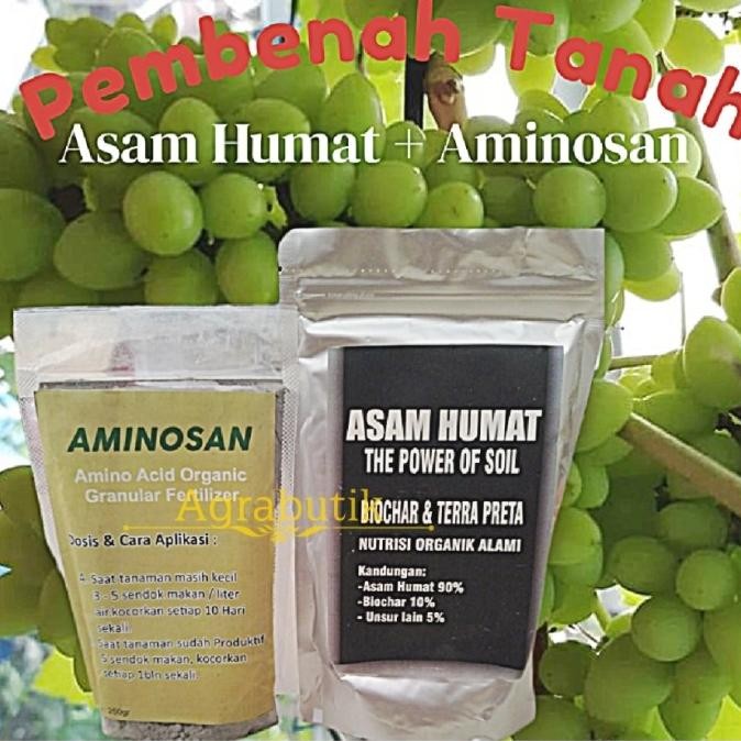 Asam Humat + Aminosan Paket Pembenah Tanah tanaman buah anggur MMU