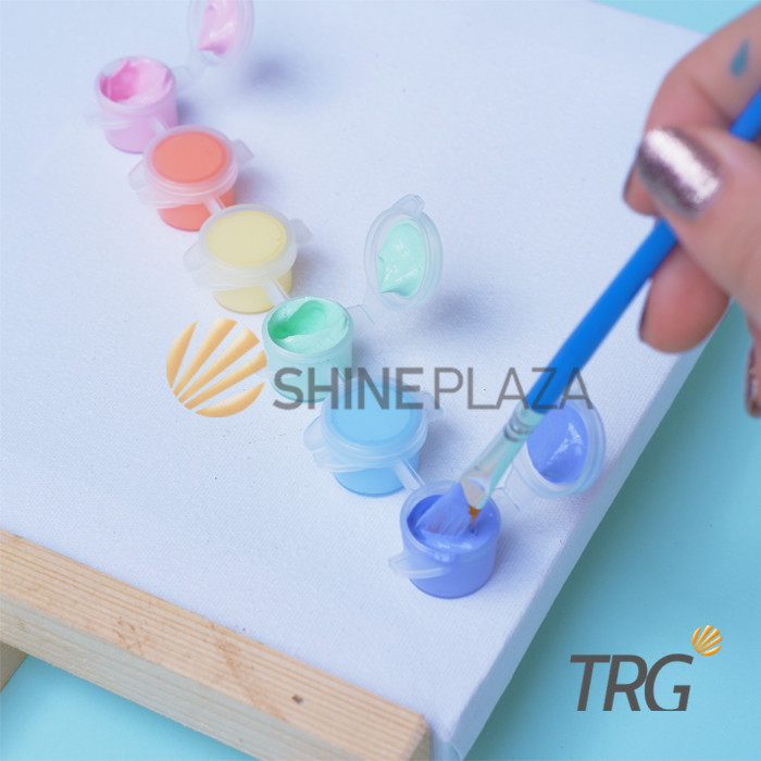 TRG ACRYLIC COLOUR PASTEL SET 6 WARNA - CAT AKRILIK CANVAS PAINT COLOR