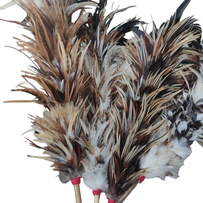 TERBARU Sulak/kemoceng/sapu bulu ayam